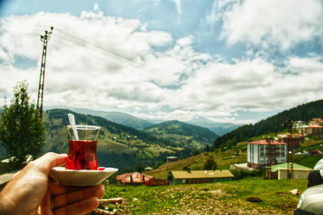 Koçkayası Tabiat Parkı — Giresun — küçük resim 6