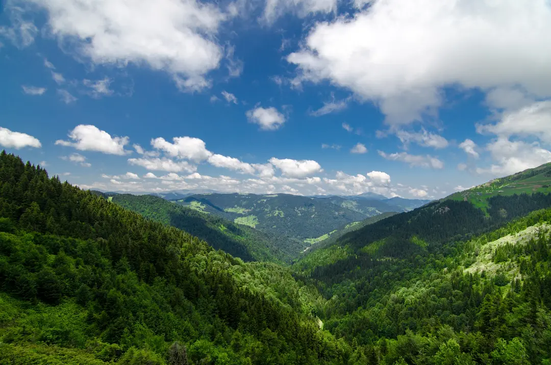 Koçkayası Tabiat Parkı — Giresun — küçük resim 2