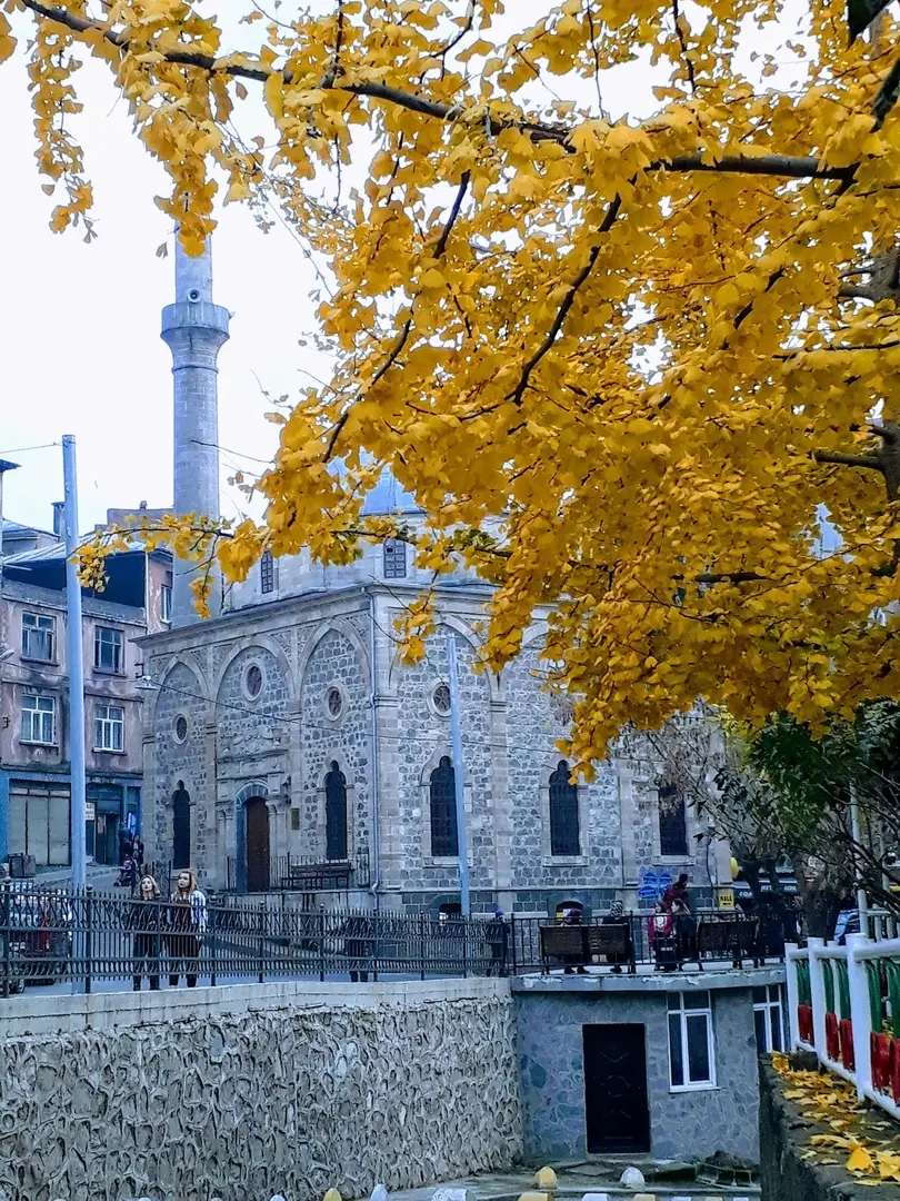 Millet Bahçesi — Giresun — küçük resim 3