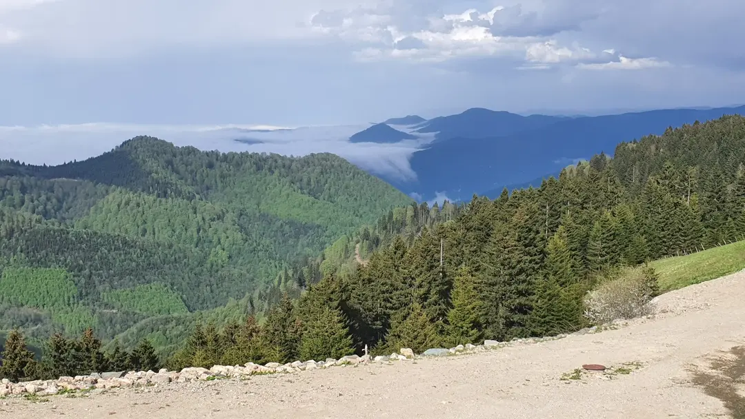Ağaçbaşı Tabiat Parkı — Giresun — küçük resim 6