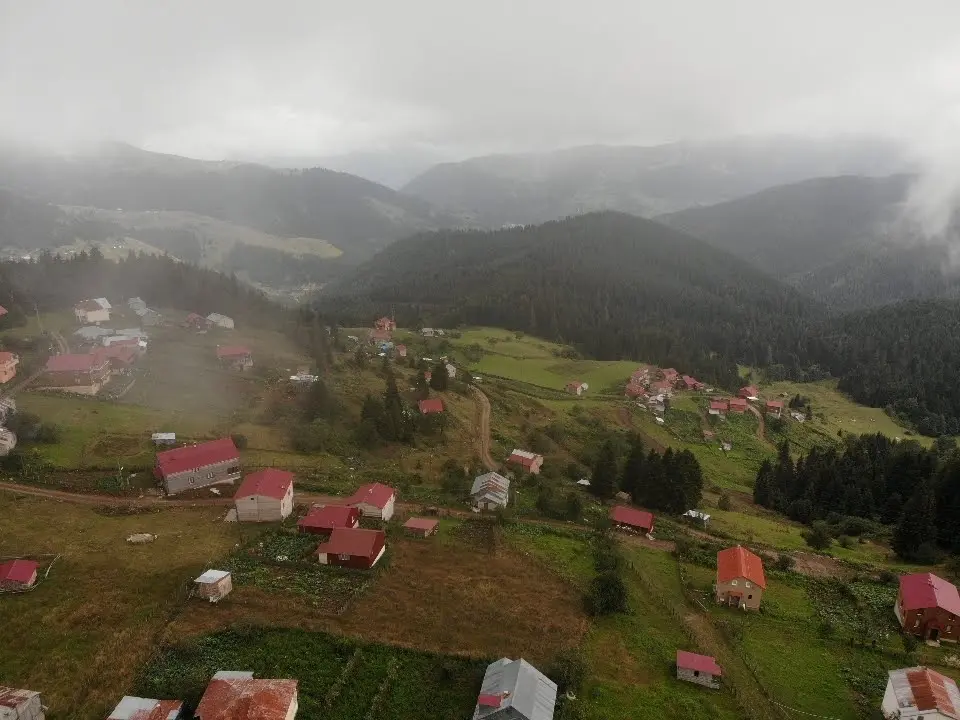 Ağaçbaşı Tabiat Parkı — Giresun — küçük resim 3