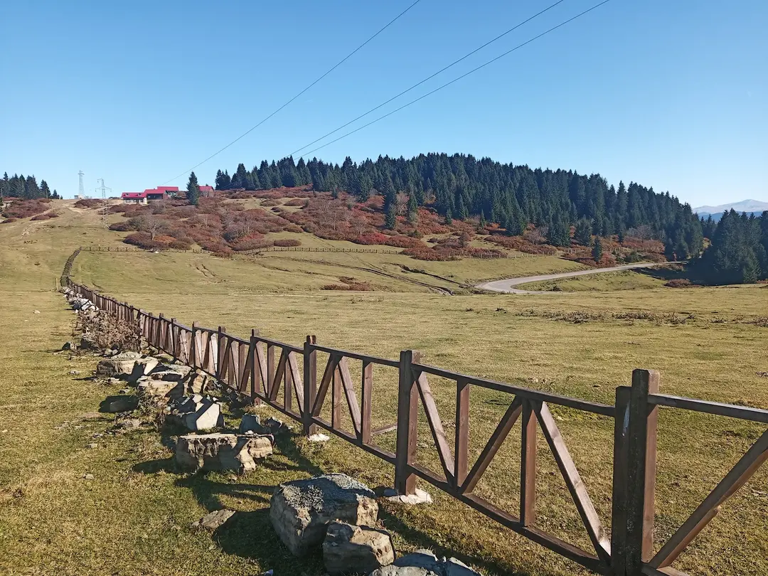 Ağaçbaşı Tabiat Parkı — Giresun — küçük resim 5