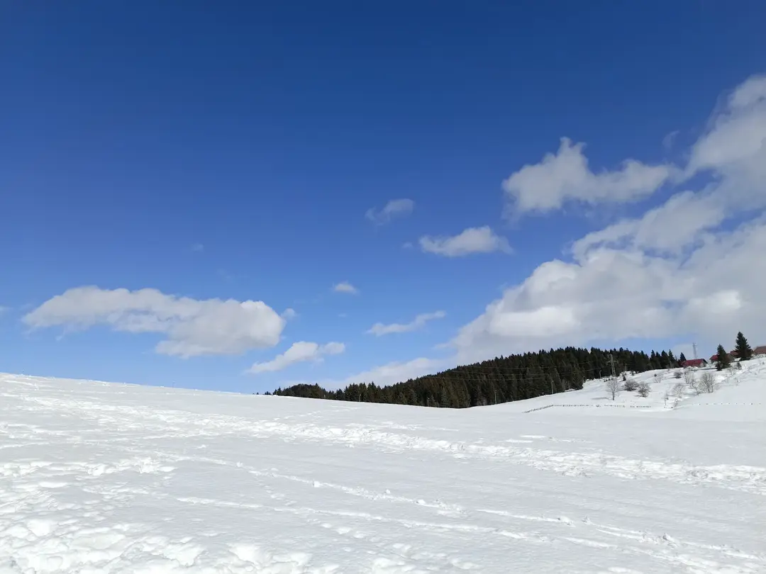 Ağaçbaşı Tabiat Parkı — Giresun — küçük resim 7
