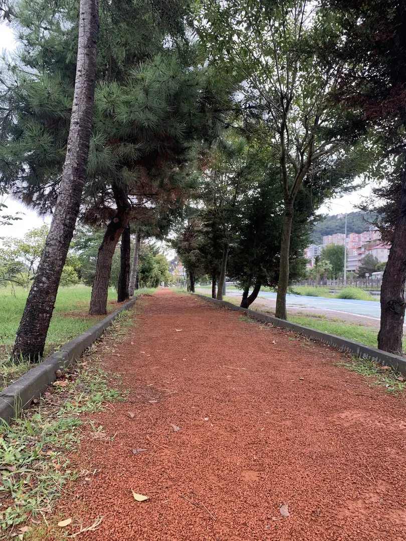 15 Şehitler Forest — Giresun — küçük resim 10