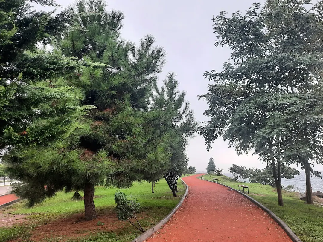 15 Şehitler Forest — Giresun — küçük resim 2