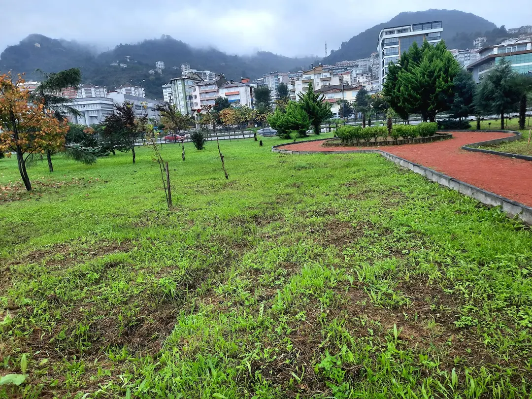 15 Şehitler Forest — Giresun — küçük resim 8