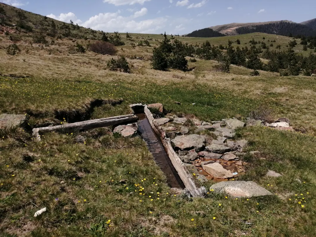 İnişdibi Dışical Yaylası — Giresun — küçük resim 6