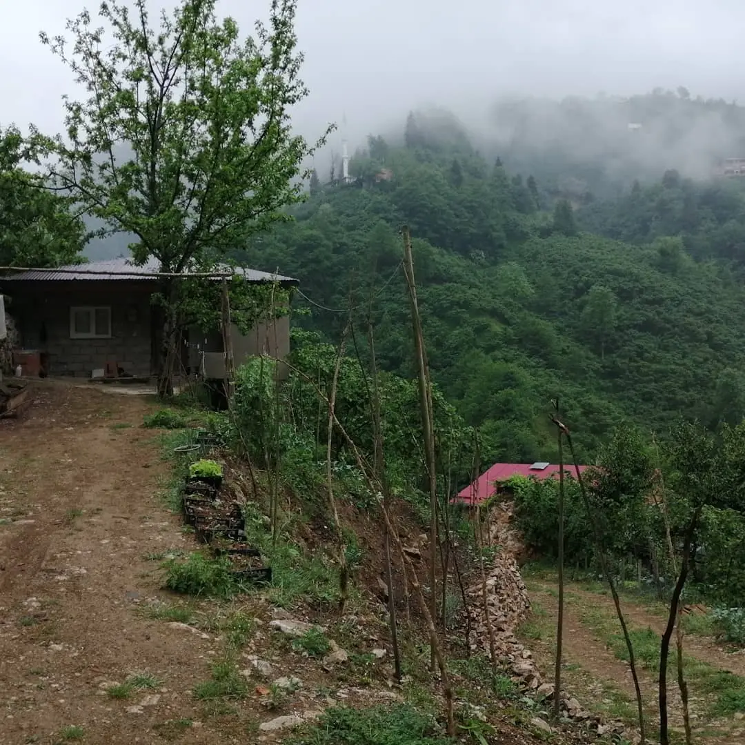 İnişdibi Dişiçal Yaylası