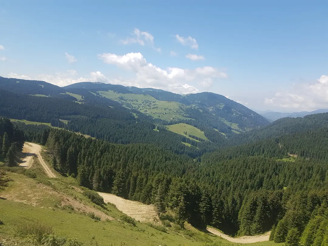 Aymaç Tabiat Parkı — Giresun — küçük resim 3