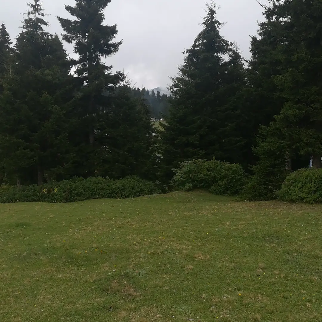 Aymaç Tabiat Parkı — Giresun — küçük resim 2