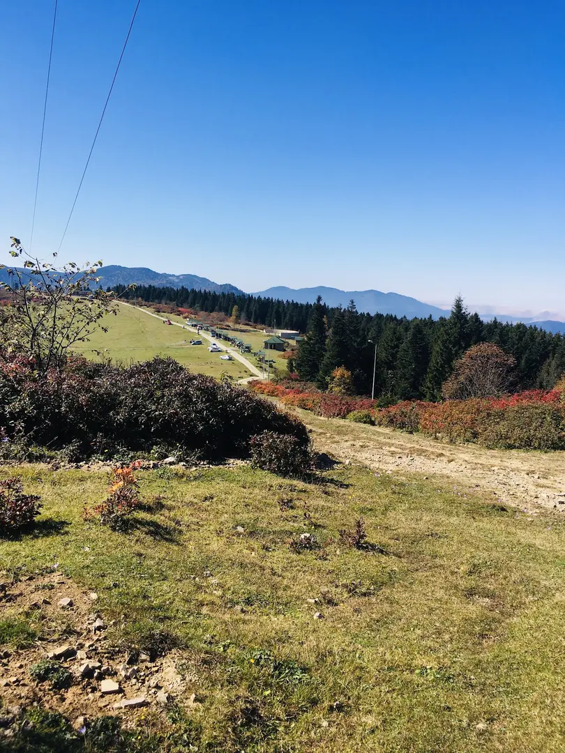 Ağaçbaşı Yaylası — Giresun — küçük resim 7