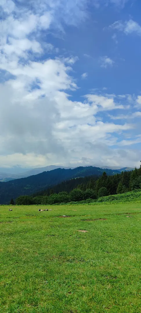 Ağaçbaşı Yaylası — Giresun — küçük resim 8