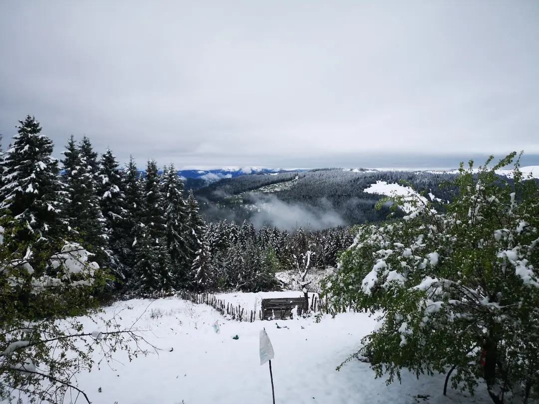 Ağaçbaşı Yaylası — Giresun — küçük resim 6