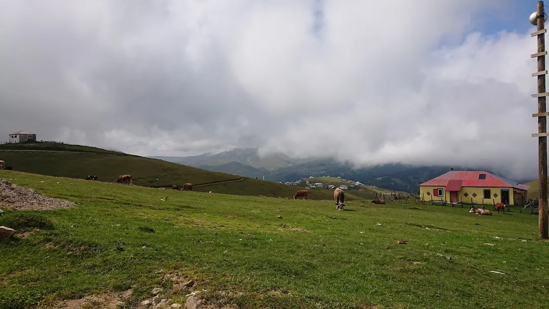 Ağaçbaşı Yaylası — Giresun — küçük resim 3