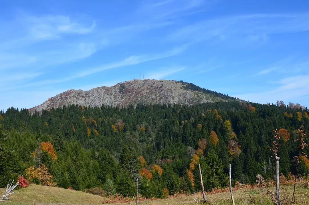 Ağaçbaşı Yaylası — Giresun — küçük resim 5