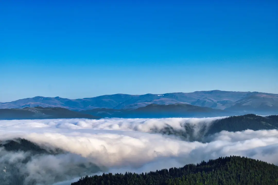 Ağaçbaşı Yaylası — Giresun — küçük resim 2