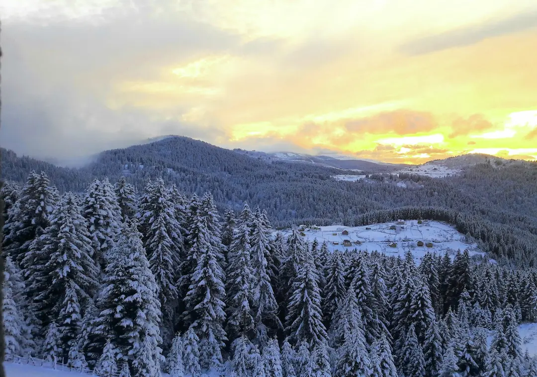 Paşakonağı Yaylası — Giresun — küçük resim 5