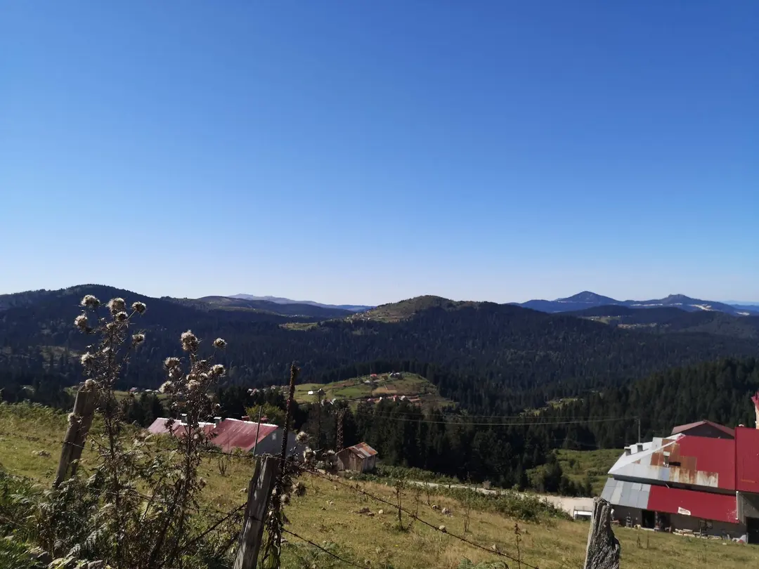 Paşakonağı Yaylası — Giresun — küçük resim 6