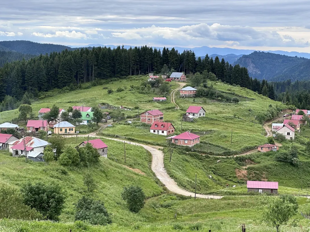 Paşakonağı Yaylası — Giresun — küçük resim 2