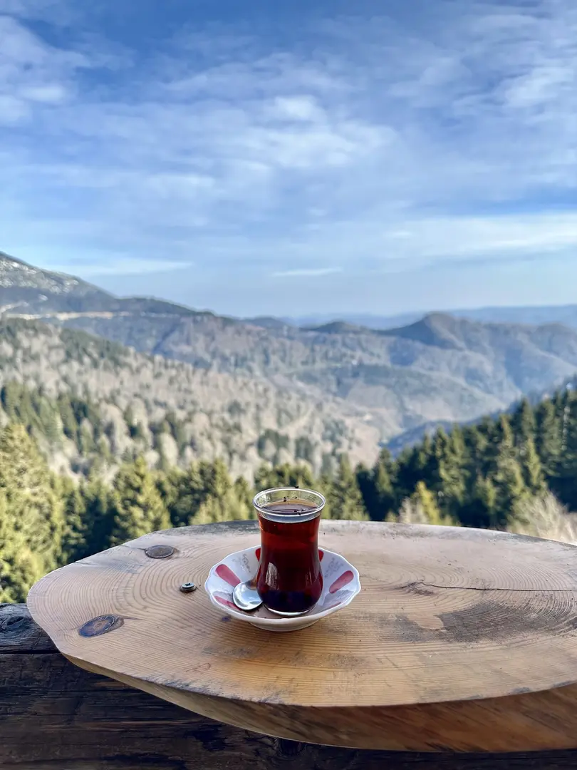 Kulakkaya Yaylası Giresun — Giresun — küçük resim 3