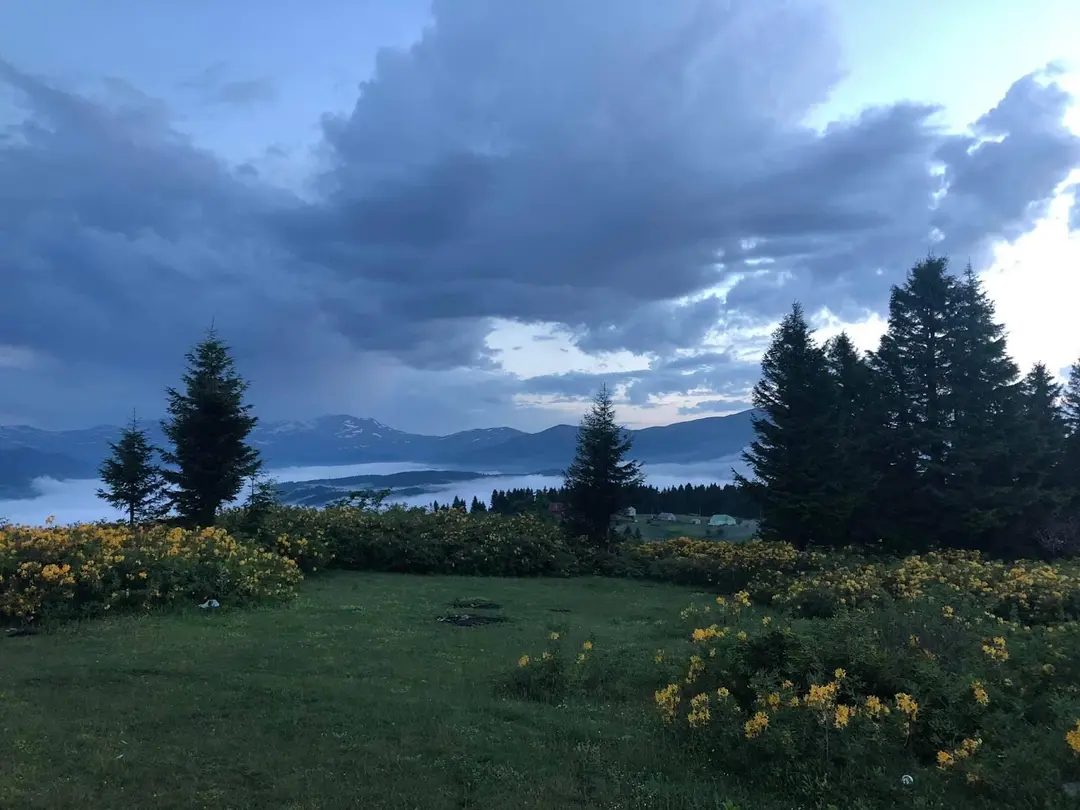 Kulakkaya Yaylası Giresun — Giresun — küçük resim 9