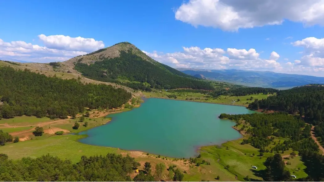Şebinkarahisar