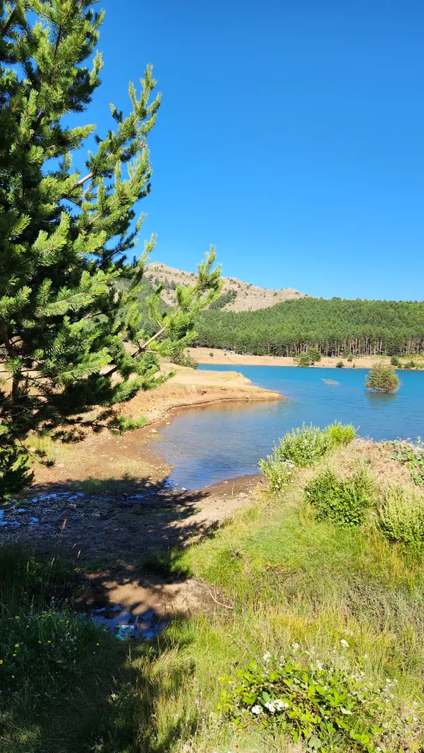 Gürpınar Köyü Dikmetaş Yaylası — Giresun — küçük resim 8
