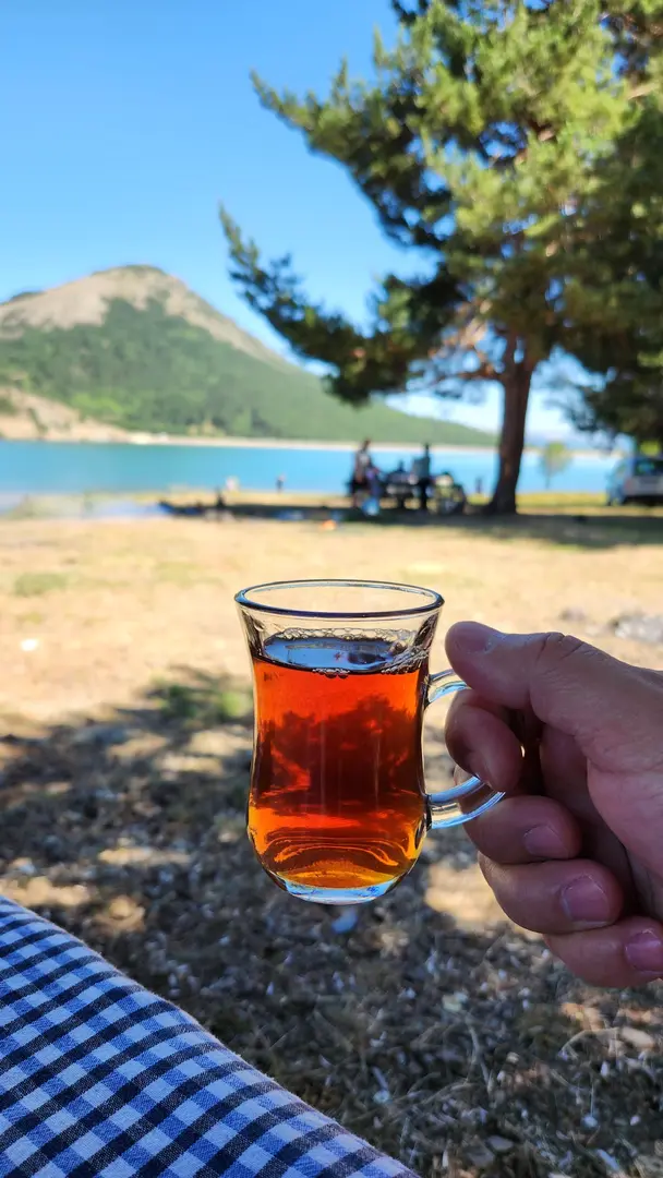 Gürpınar Köyü Dikmetaş Yaylası — Giresun — küçük resim 4