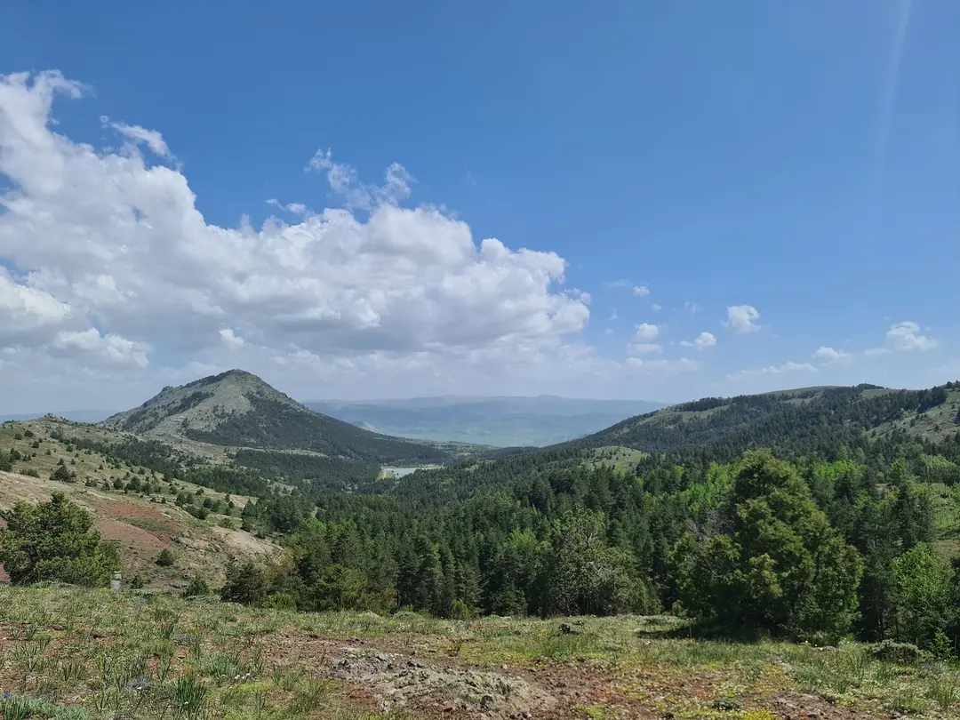 Gürpınar Köyü Dikmetaş Yaylası — Giresun — küçük resim 3