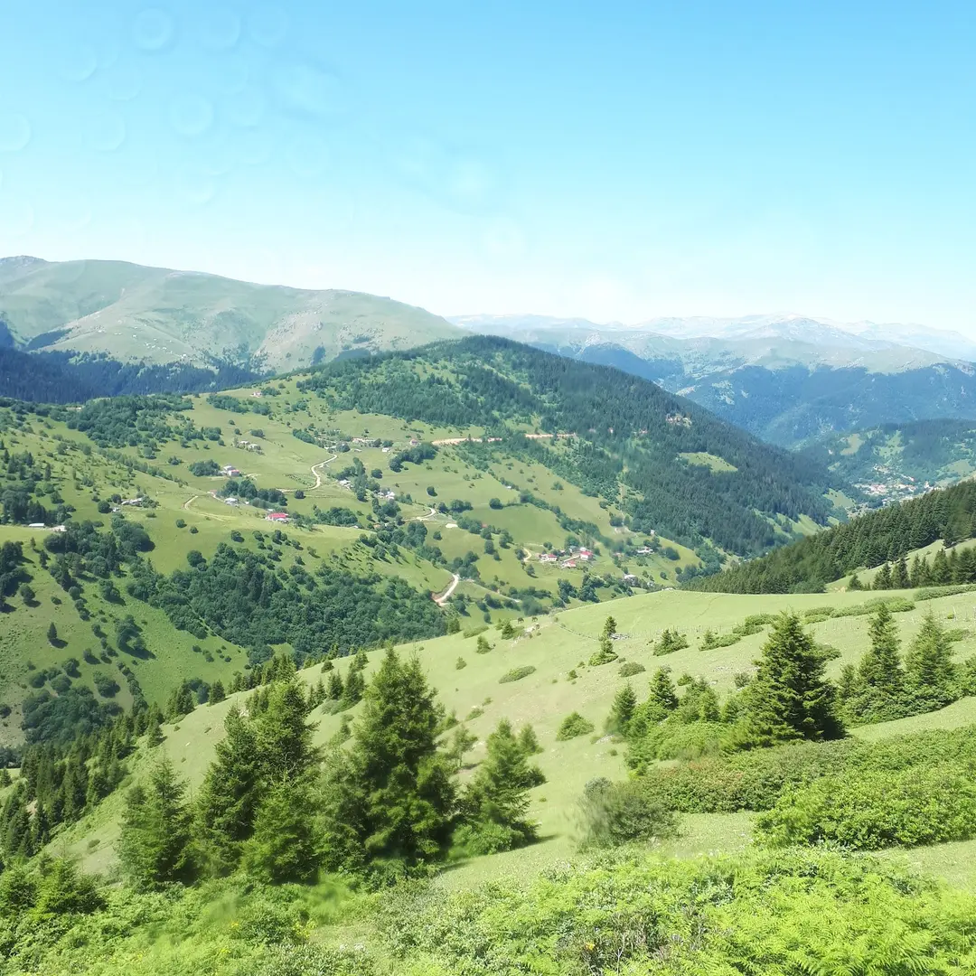 Kümbet Yaylası — Giresun — küçük resim 3
