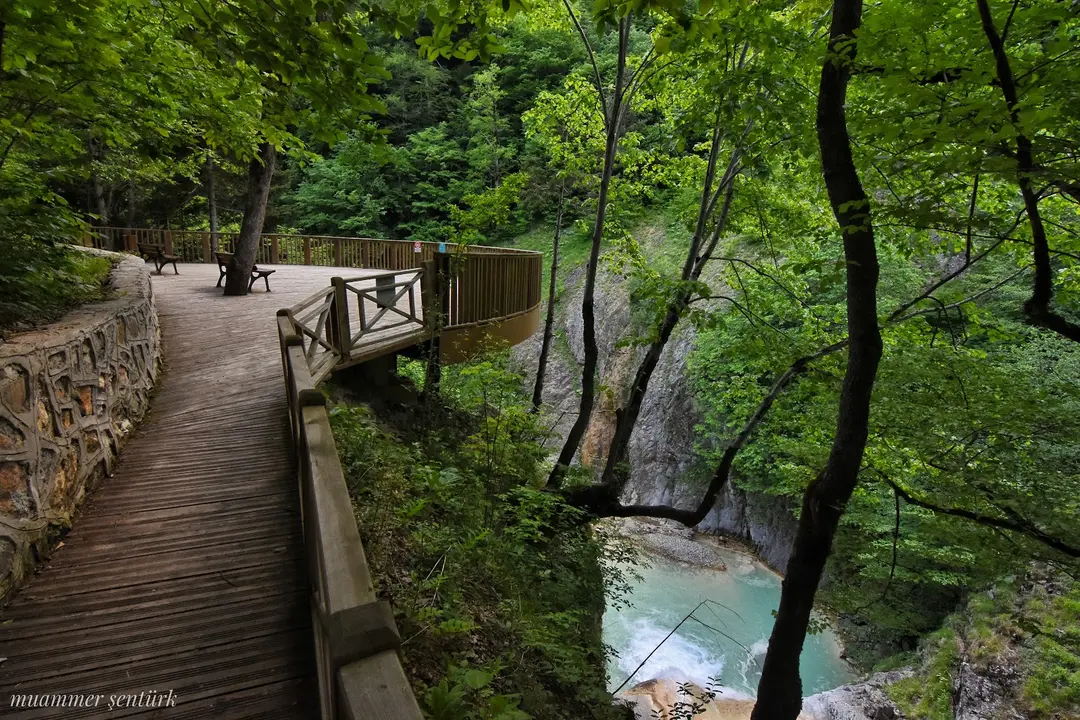 Mavigöl — Giresun — küçük resim 8