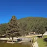 Kent Ormanı