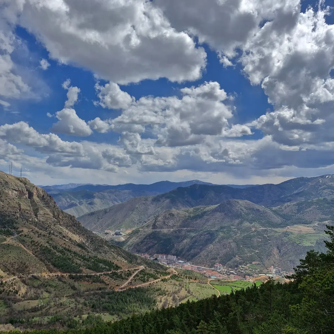 Kent Forest — Gümüşhane — küçük resim 3