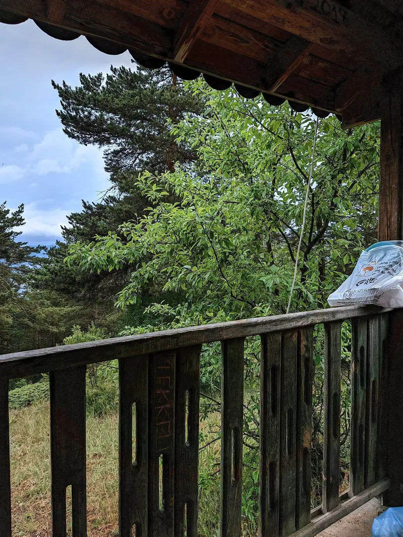 Kent Forest — Gümüşhane — küçük resim 8