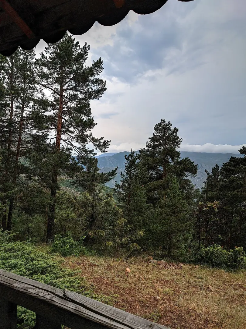 Kent Forest — Gümüşhane — küçük resim 9