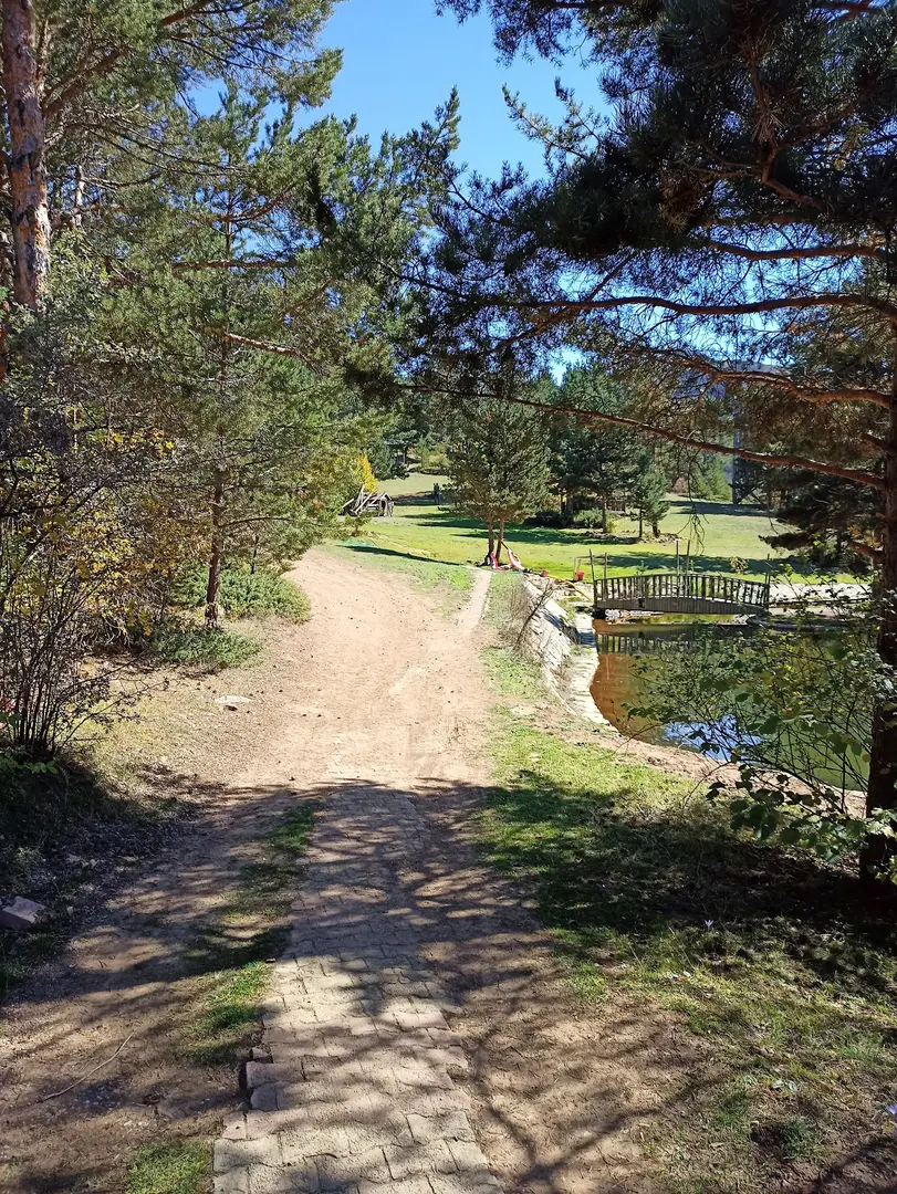 Kent Forest — Gümüşhane — küçük resim 4