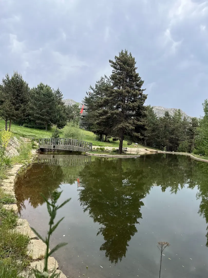 Kent Forest — Gümüşhane — küçük resim 2