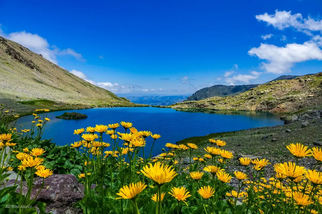Artabel Lakes Nature Park — Gümüşhane — küçük resim 7