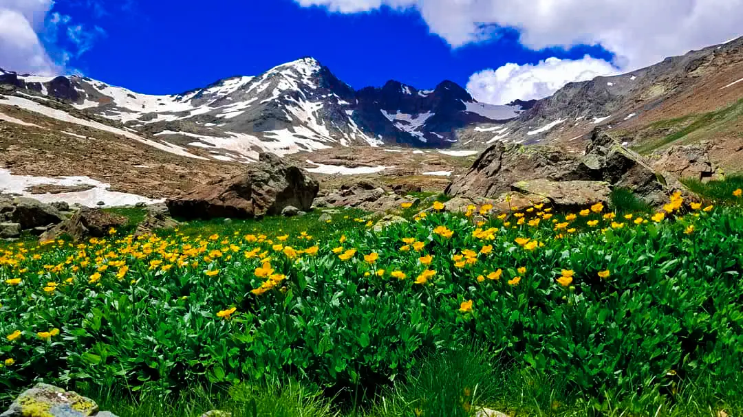 Artabel Lakes Nature Park — Gümüşhane — küçük resim 5