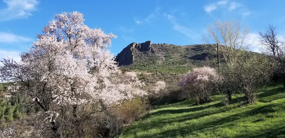 Karşıyaka Nature Park — Gümüşhane — küçük resim 10