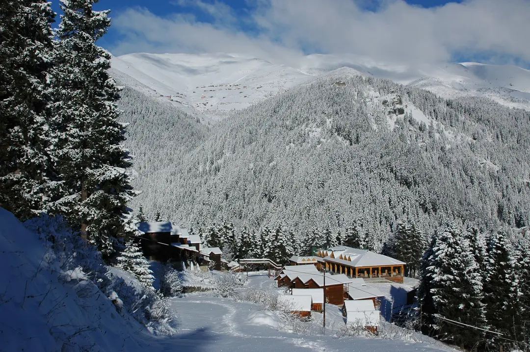 HAMSİKÖY ZİTAŞ BUNGALOV — Trabzon — küçük resim 5