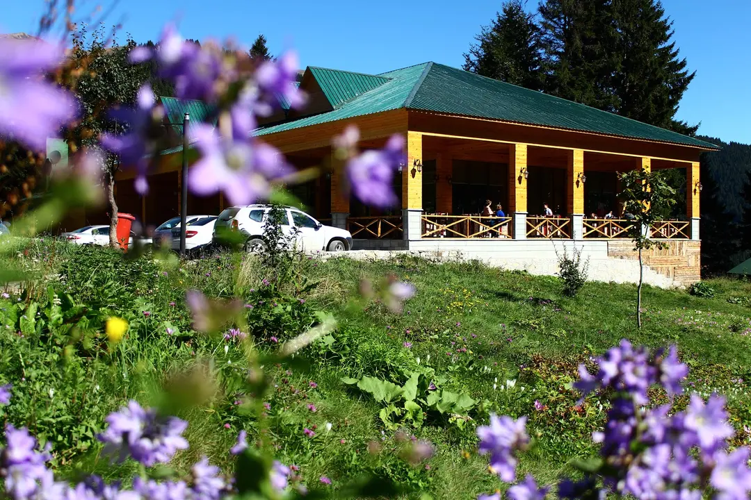 HAMSİKÖY ZİTAŞ BUNGALOV — Trabzon — küçük resim 8