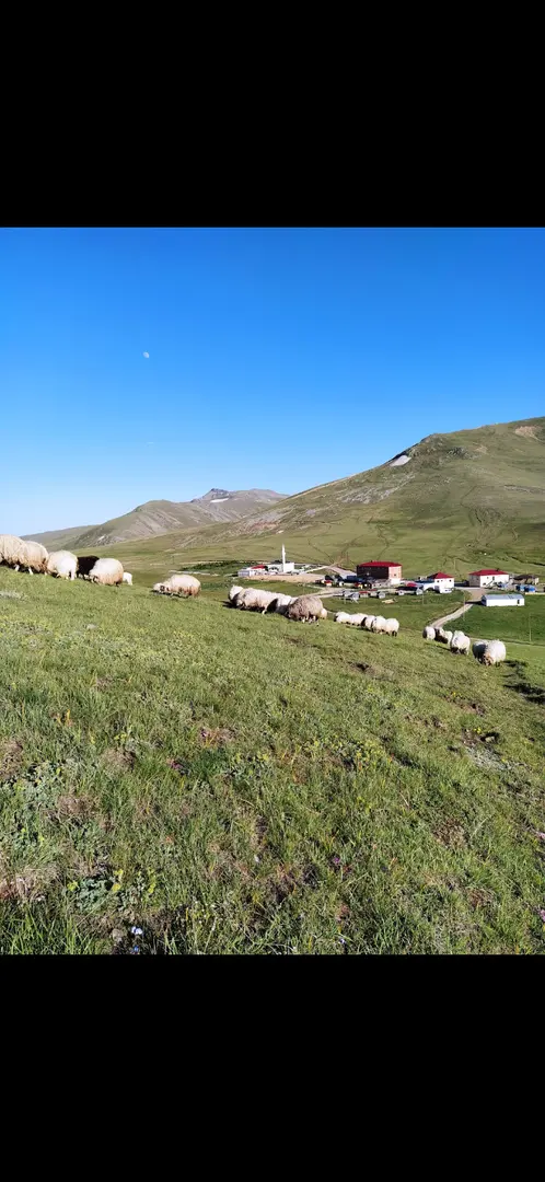 Çavuşoğlu Tesisleri (Cami Boğazı Yaylası)
