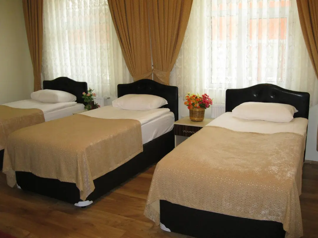 Harfit Hotel — Gümüşhane — küçük resim 2