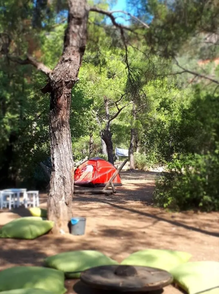 Jungle Bungalows & Camping — Antalya — küçük resim 2