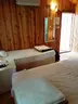 Jungle Bungalows & Camping