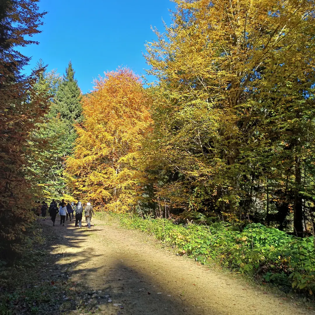 Çağlayandibi Waterfall Nature Park — Gümüşhane — küçük resim 9