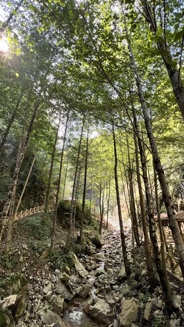 Çağlayandibi Waterfall Nature Park — Gümüşhane — küçük resim 6