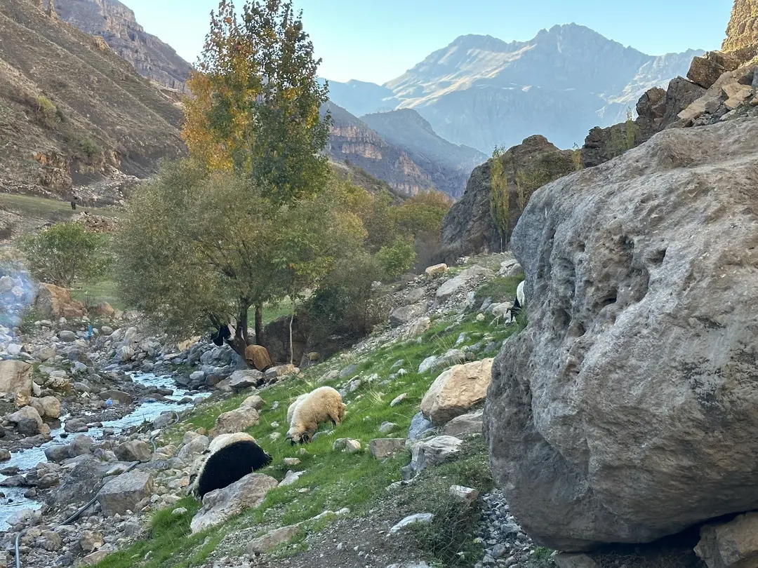 Ağacdibi Waterfall — Hakkari — küçük resim 10