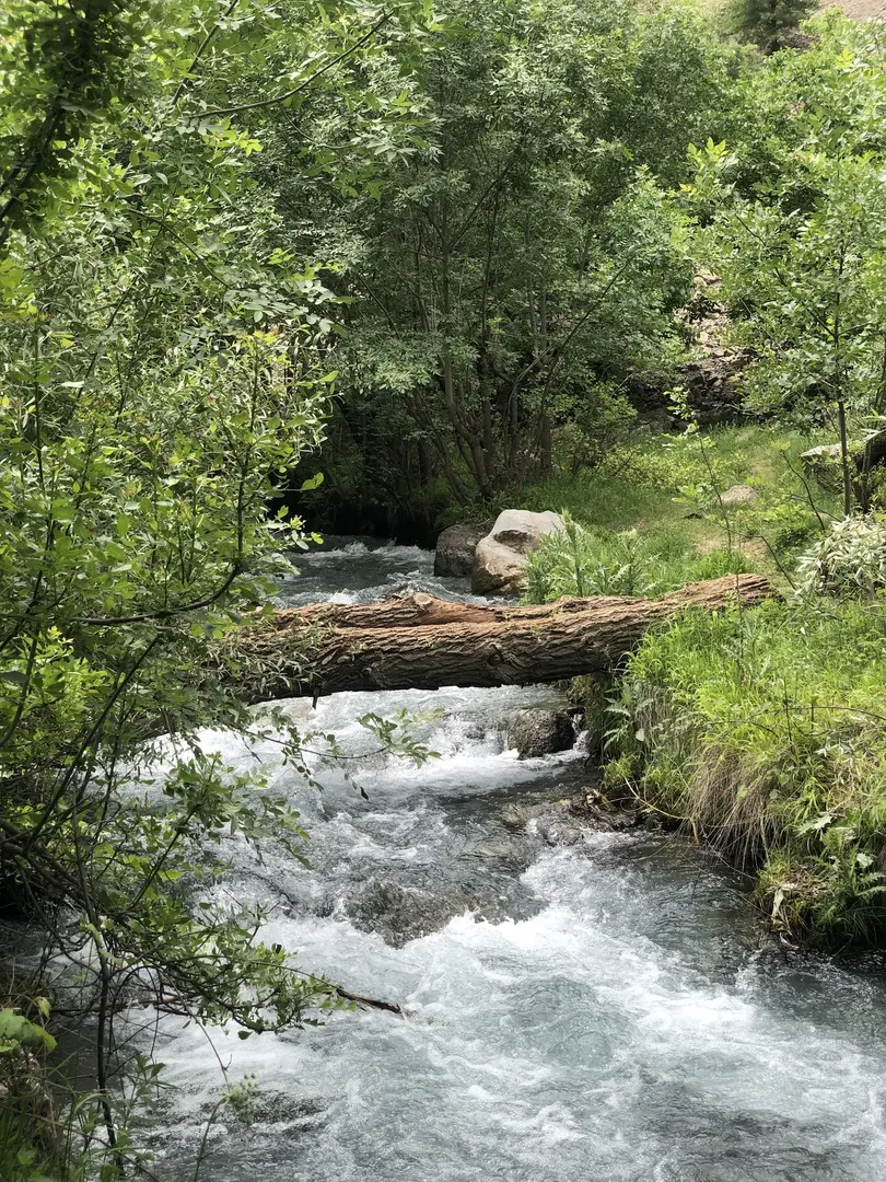 Ağacdibi Waterfall — Hakkari — küçük resim 6